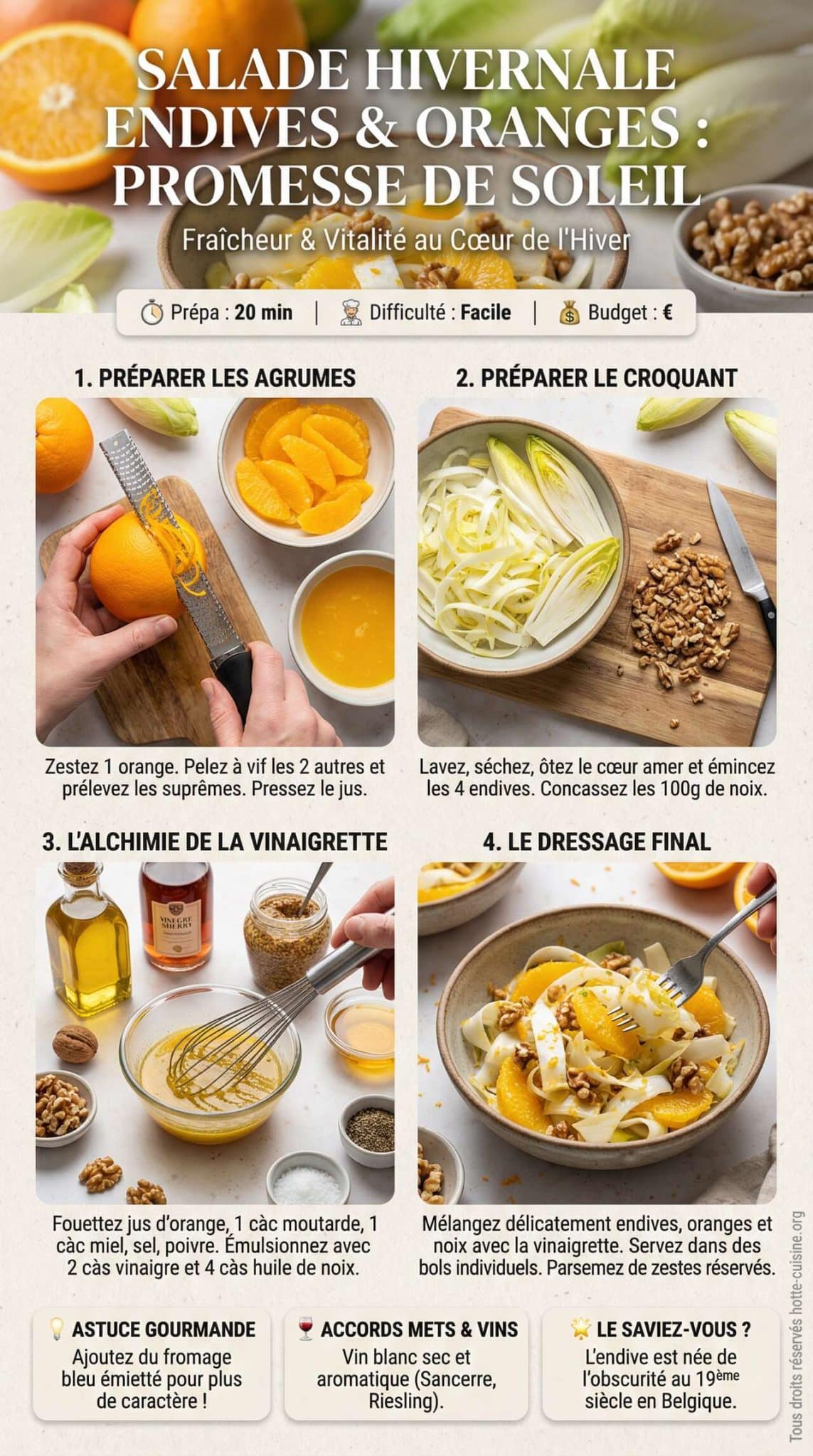Fiche recette Recette de salade hivernale endives et oranges