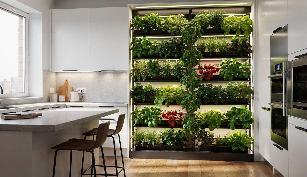 Cuisiner autrement : découvrir les systèmes en hauteur